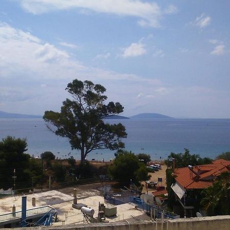 Tolo Beach Studios Εξωτερικό φωτογραφία